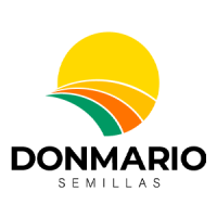 DonMario